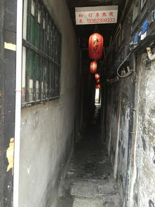 西塘慢行 在千年水巷中虛度一個(gè)美好的下午